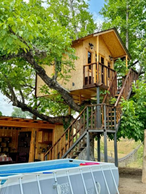 Tnak Dream House